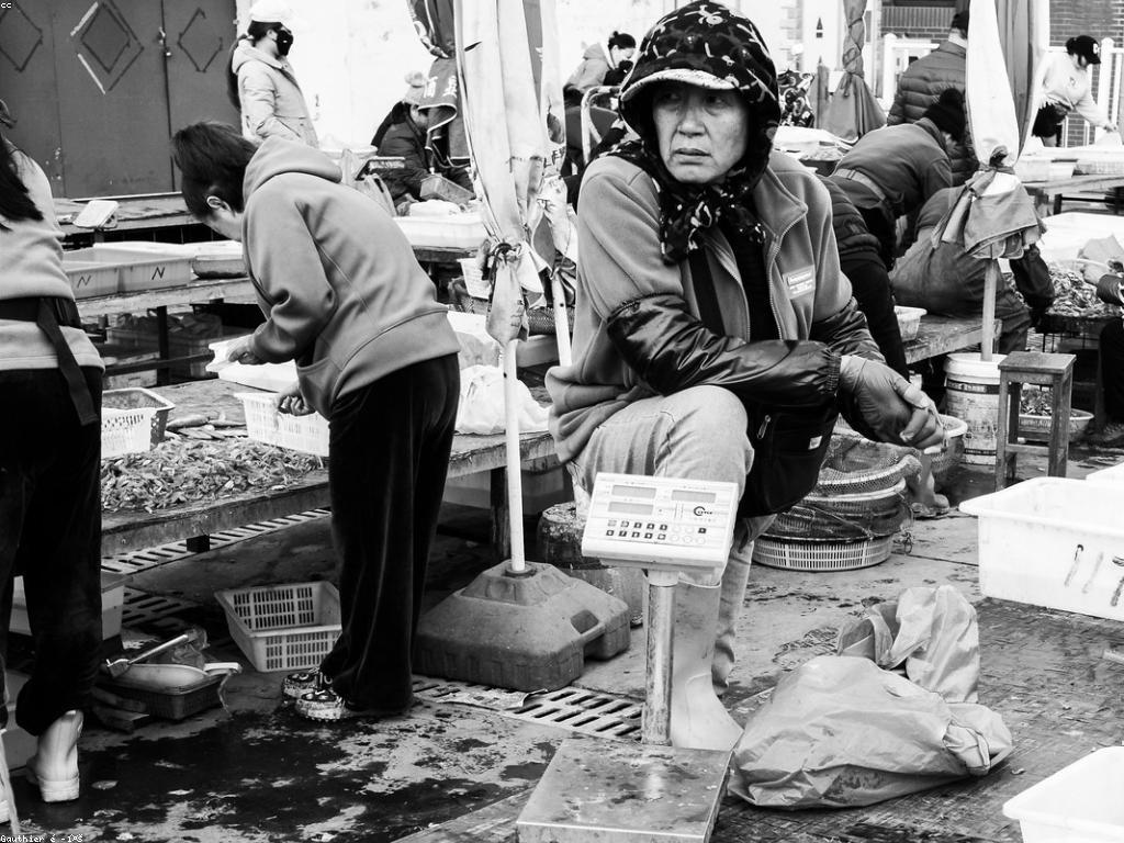 ត្រីពិសេស៖ ភាពផ្ទាល់ខ្លួននៃការប្រើប្រាស់និងការថែទាំ