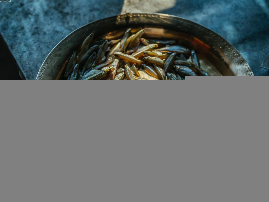 វិធីសាស្ត្រច្នៃប្រឌិតក្នុងការធ្វើម្ហូបត្រីពិសេស