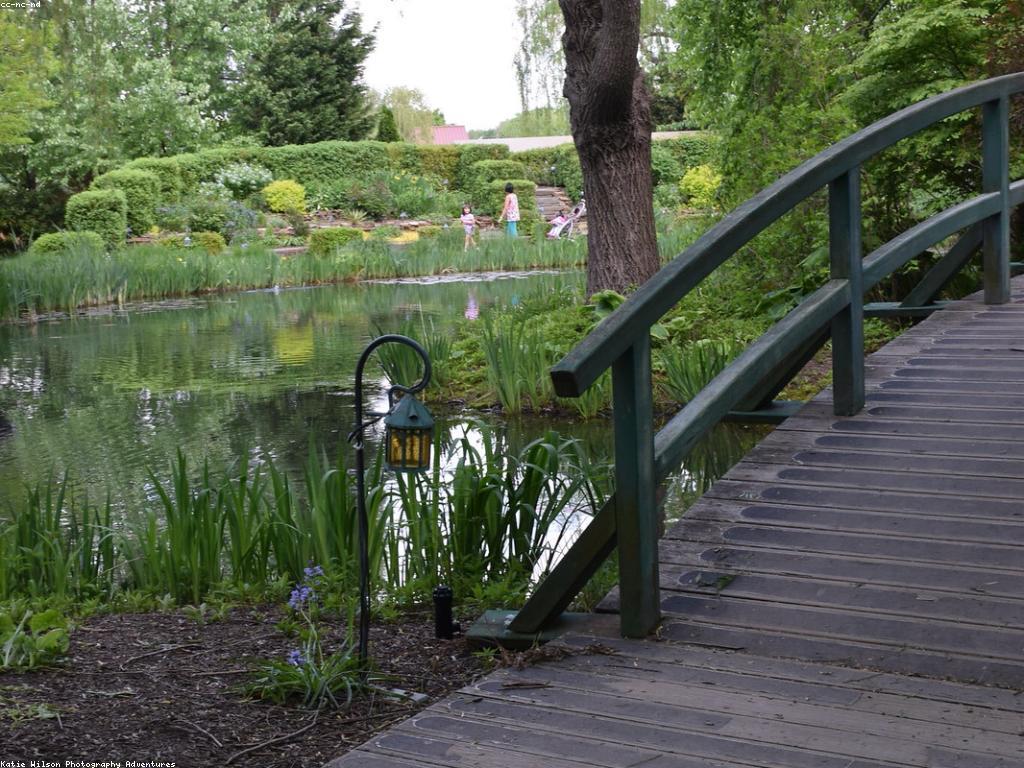 ត្រីពិសេស៖ ការស្រាវជ្រាវពីប្រភេទត្រីមានភាពហូបាញ់