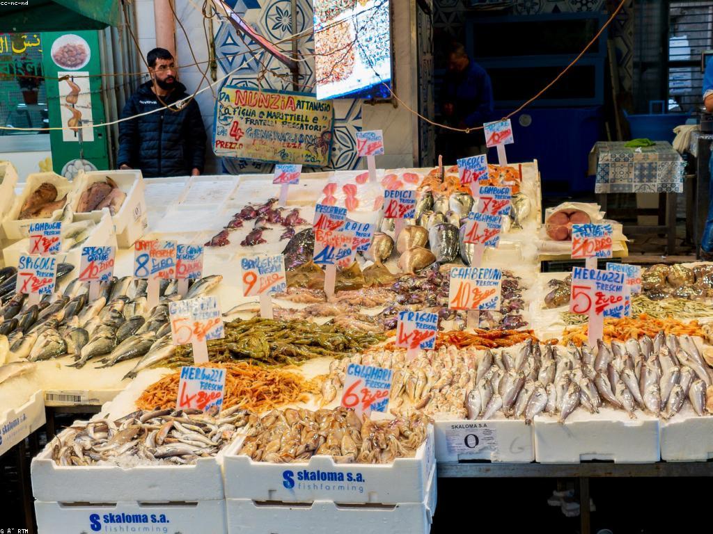 របៀបជ្រើសរើសឲ្យបានត្រីស្រស់នៅកន្លែងលក់ត្រី