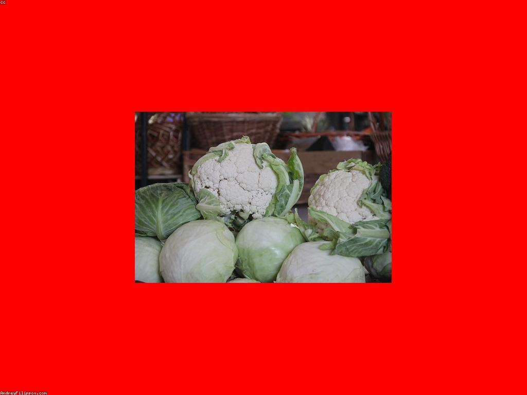 ត្រីពិសេស៖ អត្ថប្រយោជន៍សម្រាប់សុខភាពពីត្រីពិសេស